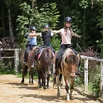 Feriengut Seiterhof Schladming