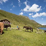 Hotel Feriengut Seiterhof 3*