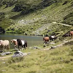 Feriengut Seiterhof Hotel 3*