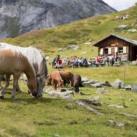 Seiterhof 3* Schladming