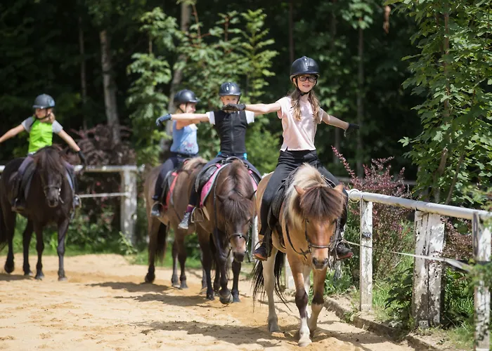 Seiterhof 슈라드밍