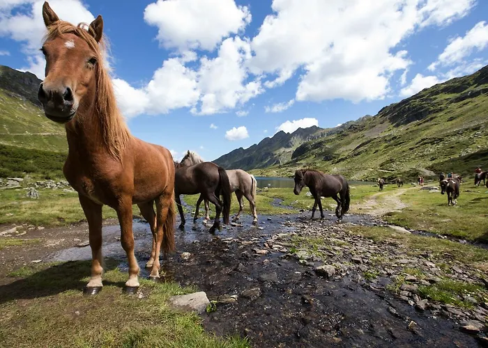Hotel Feriengut Seiterhof
