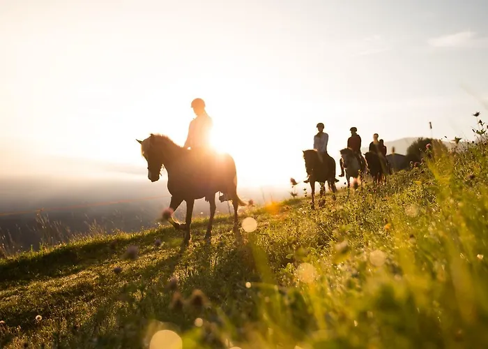 Feriengut Seiterhof Hotel 3*